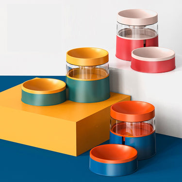 Pet Feeding and Drinking Bowl Combo